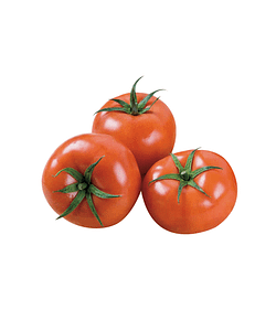 Tomate Beef