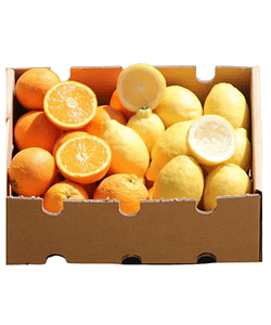 Caja de Naranjas y Limones, Tropitop