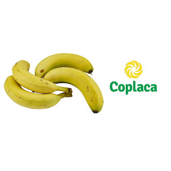 Plátano de Canarias, Coplaca