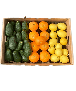Caja de Aguacates, Naranjas y Limones
