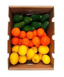 Caja de Aguacates y Cítricos Valencianos, Tropitop