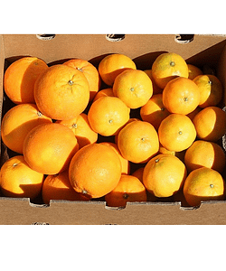 Caja de Naranjas y Mandarinas