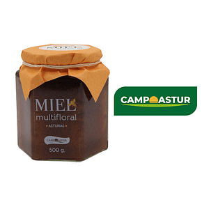 Miel Multifloral Asturias Campoastur (500 gr)