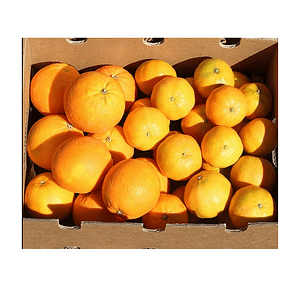 Caja de Naranjas y Mandarinas