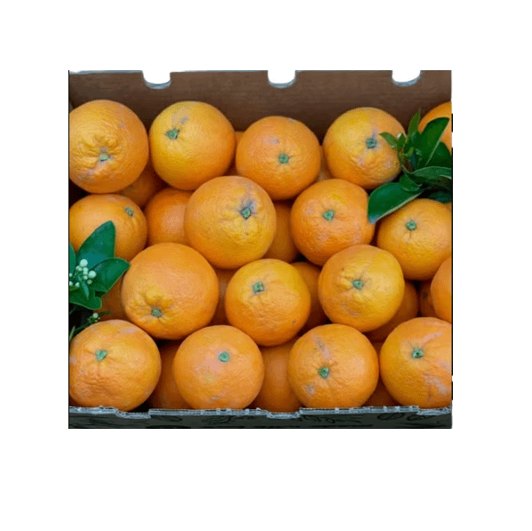 Caja de Naranja Valenciana